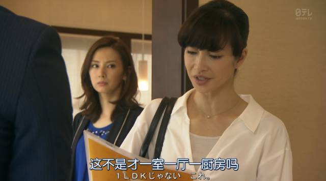 极品女房东日剧(无删减)合集_日剧卖房子的女人销售套路_房产中介销售技巧